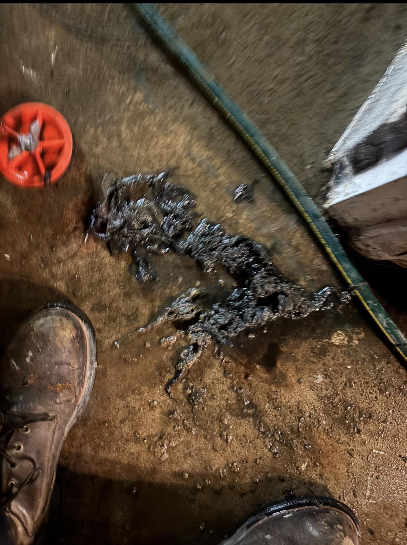 Plumbing Drain Issue in Wynnefield Heights, PA